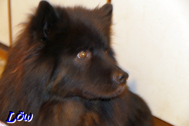 11.12.2025 - Torte, wo?